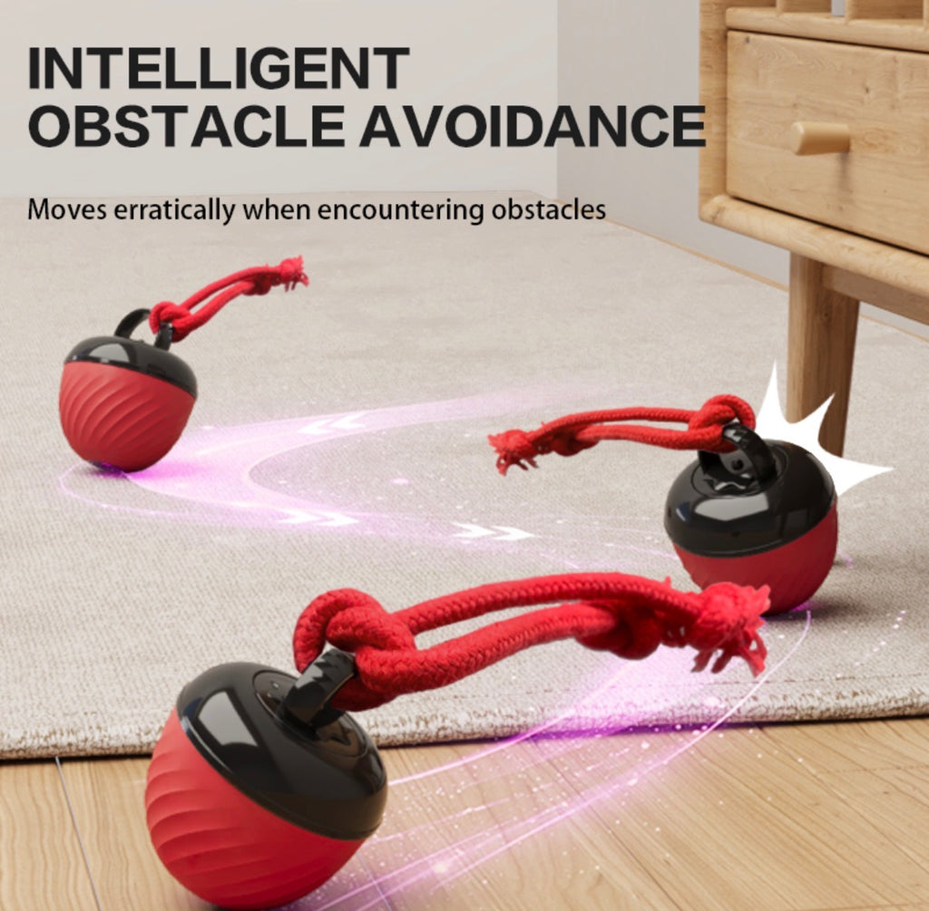 Heavy-Duty Interactive Pet Ball