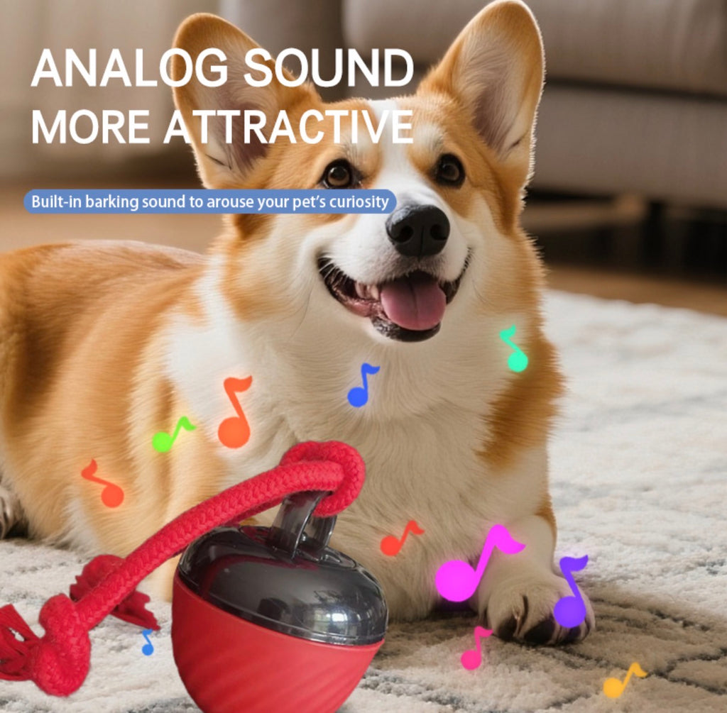 Heavy-Duty Interactive Pet Ball