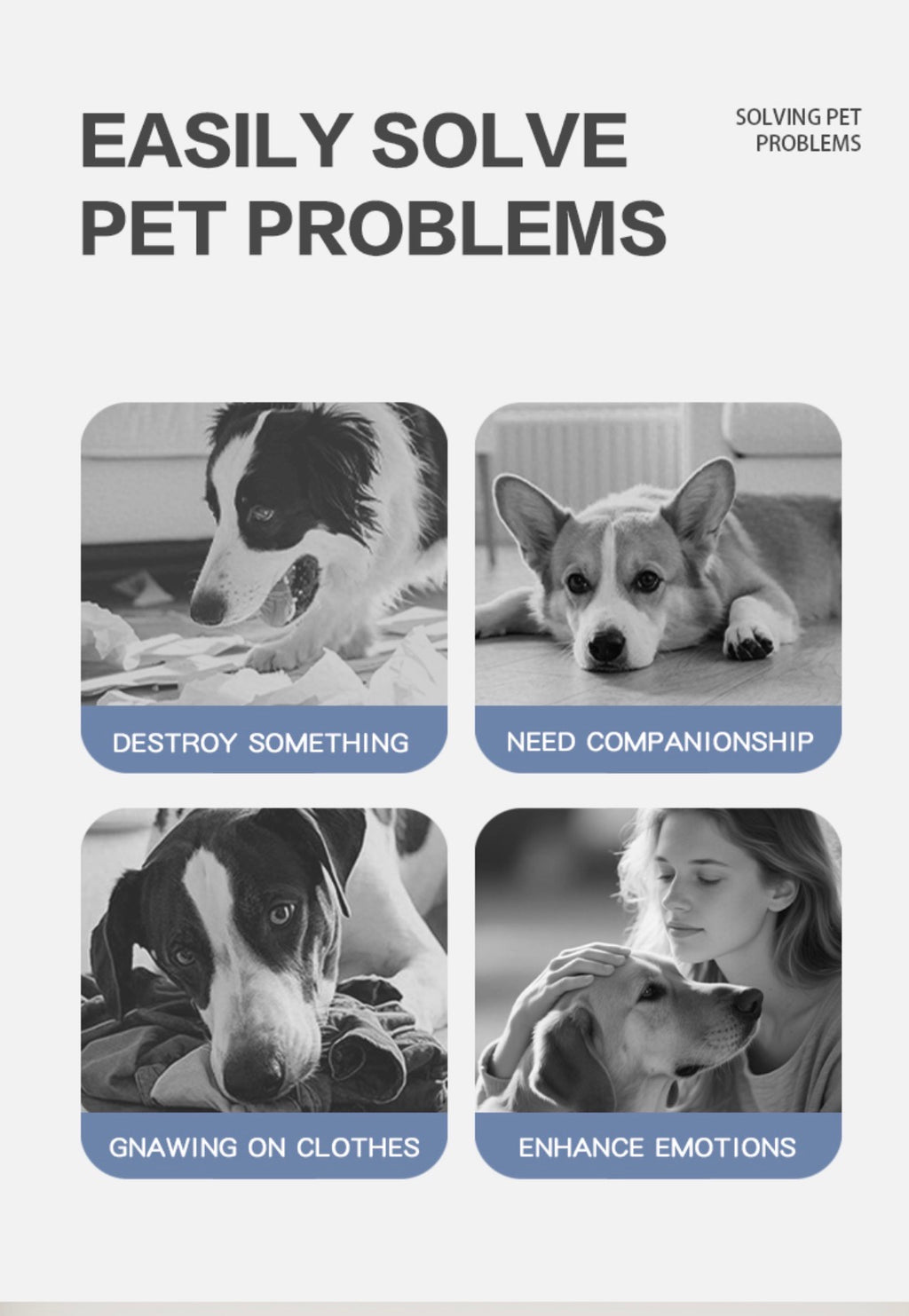 Heavy-Duty Interactive Pet Ball