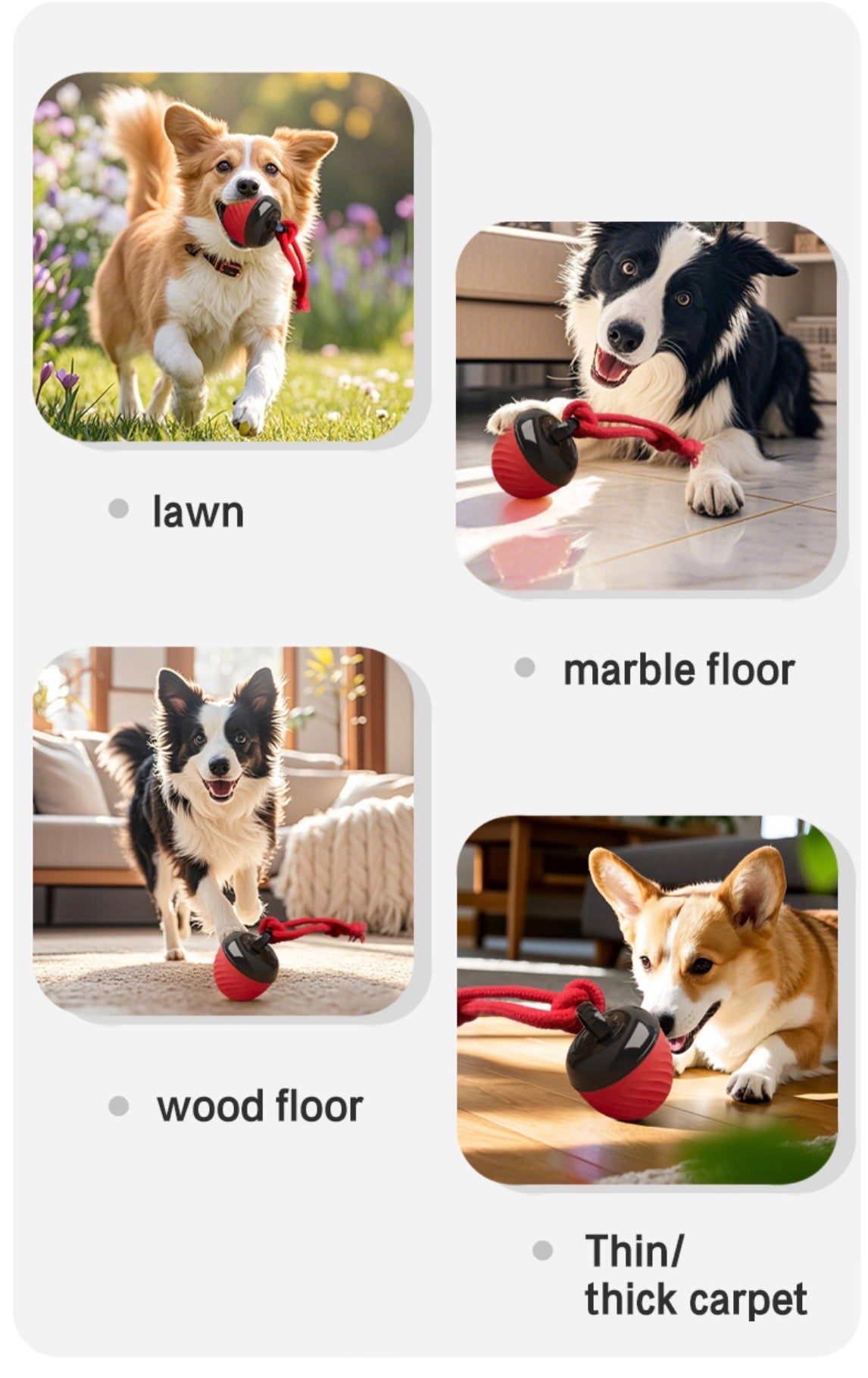 Heavy-Duty Interactive Pet Ball