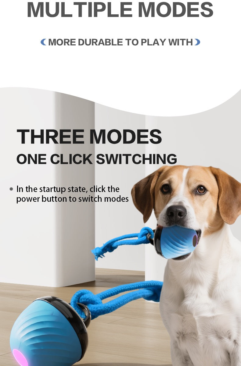 Heavy-Duty Interactive Pet Ball