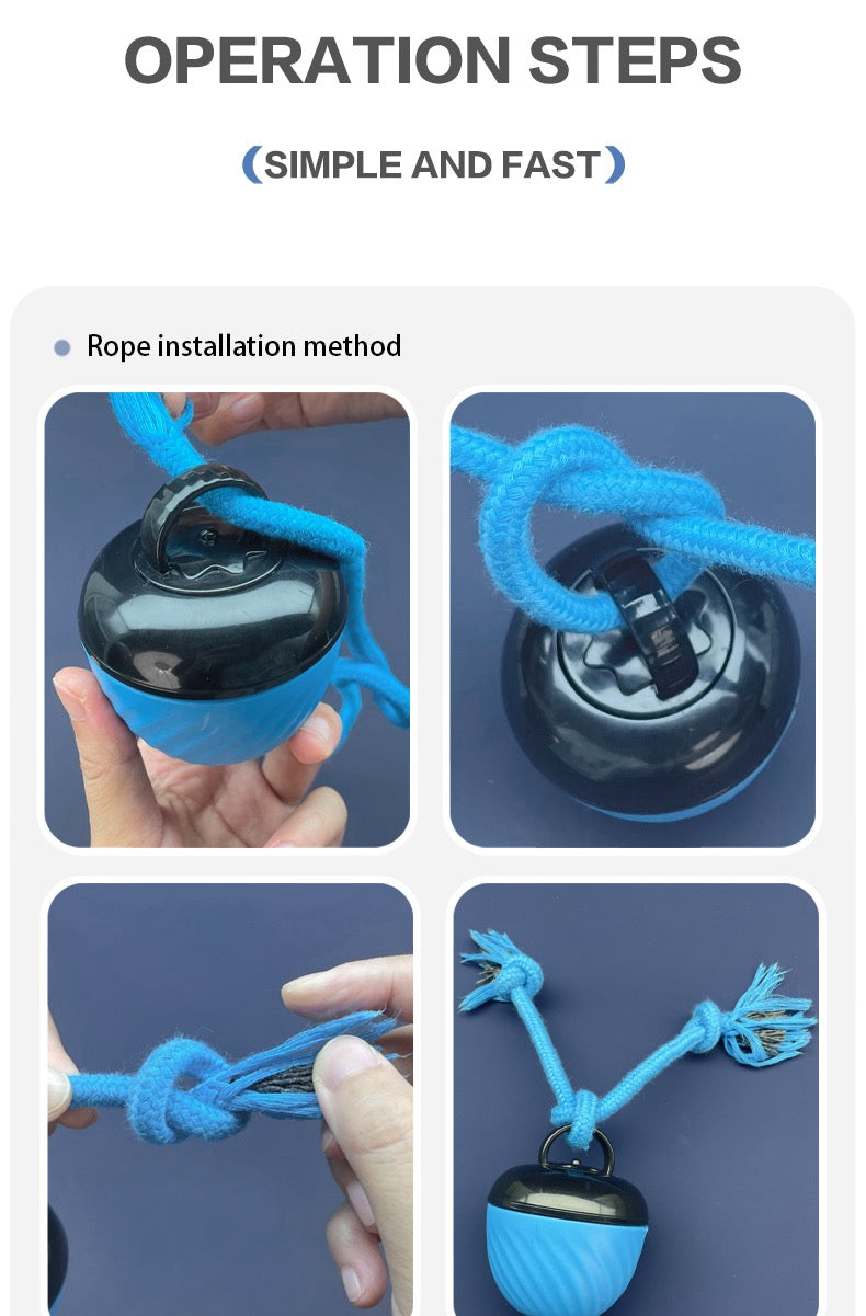 Heavy-Duty Interactive Pet Ball