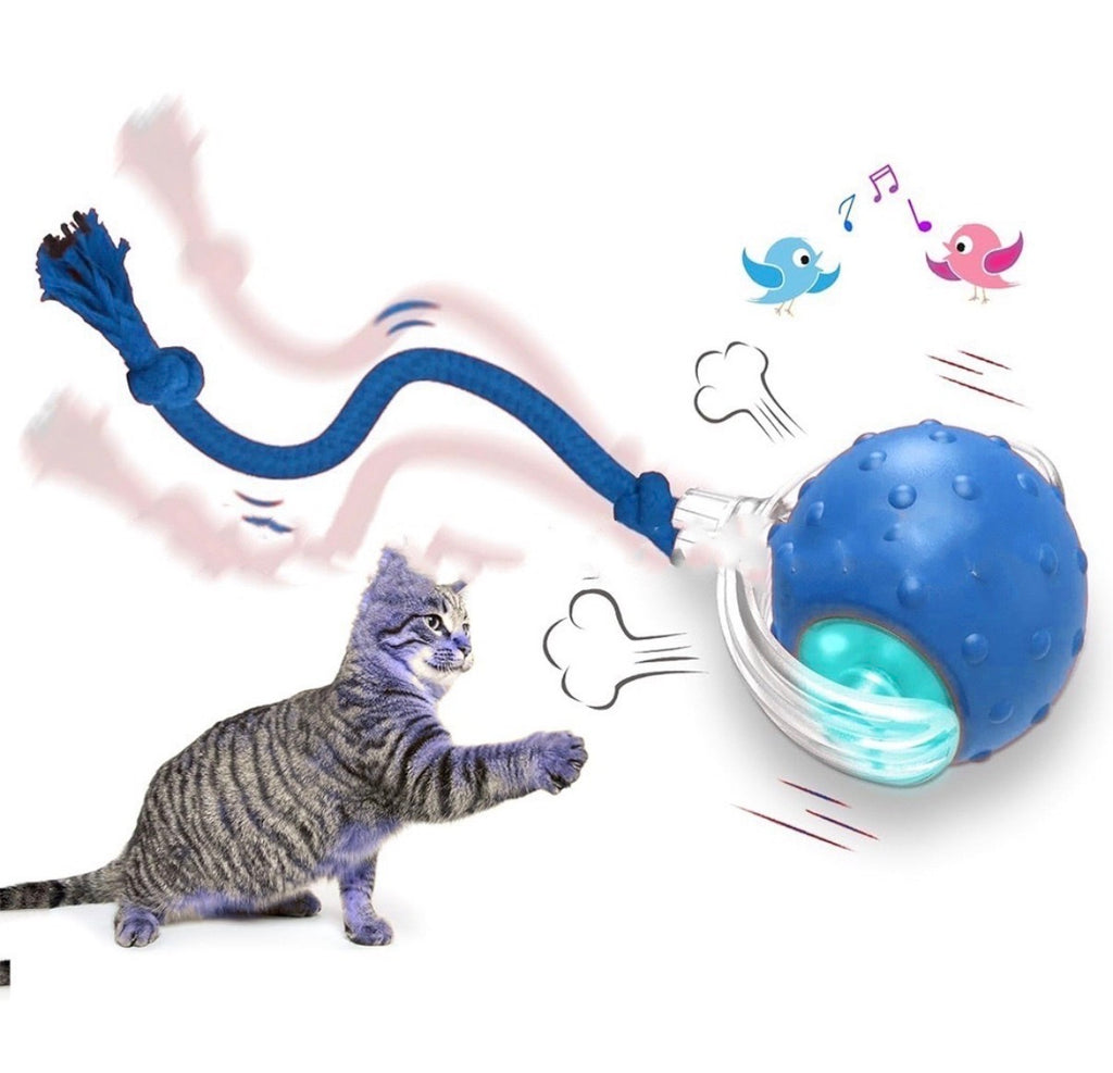 Cat Exercise & Weight Control Ball
