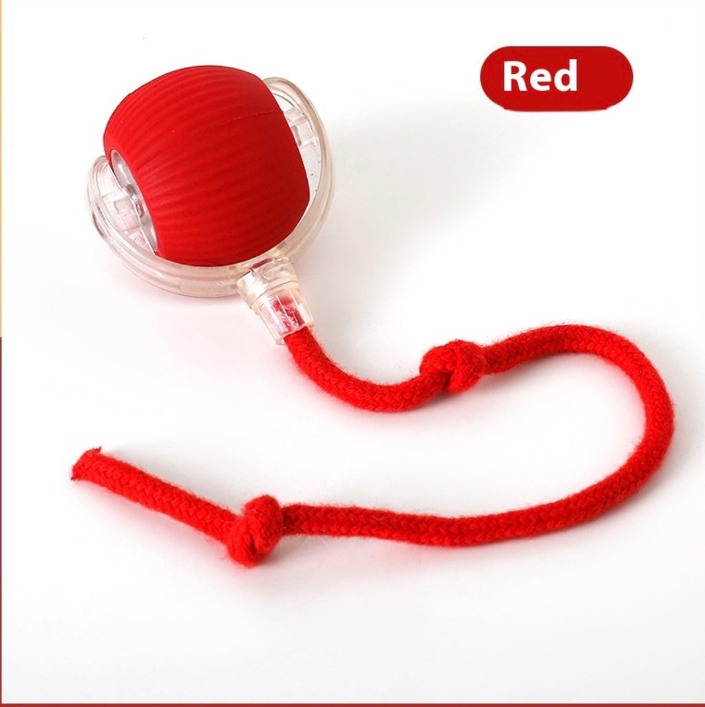 Cat Exercise & Weight Control Ball