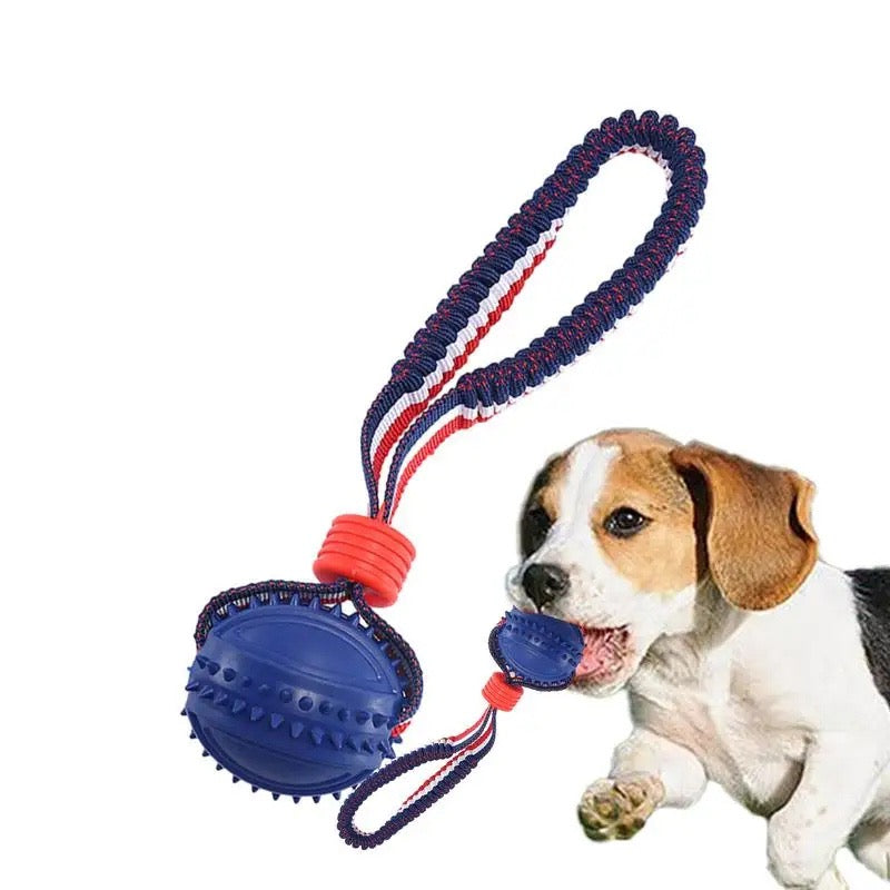 Stop Destructive Chewing Dog Ball
