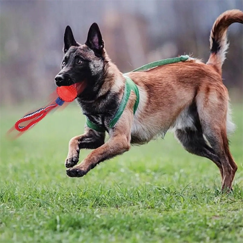 Stop Destructive Chewing Dog Ball