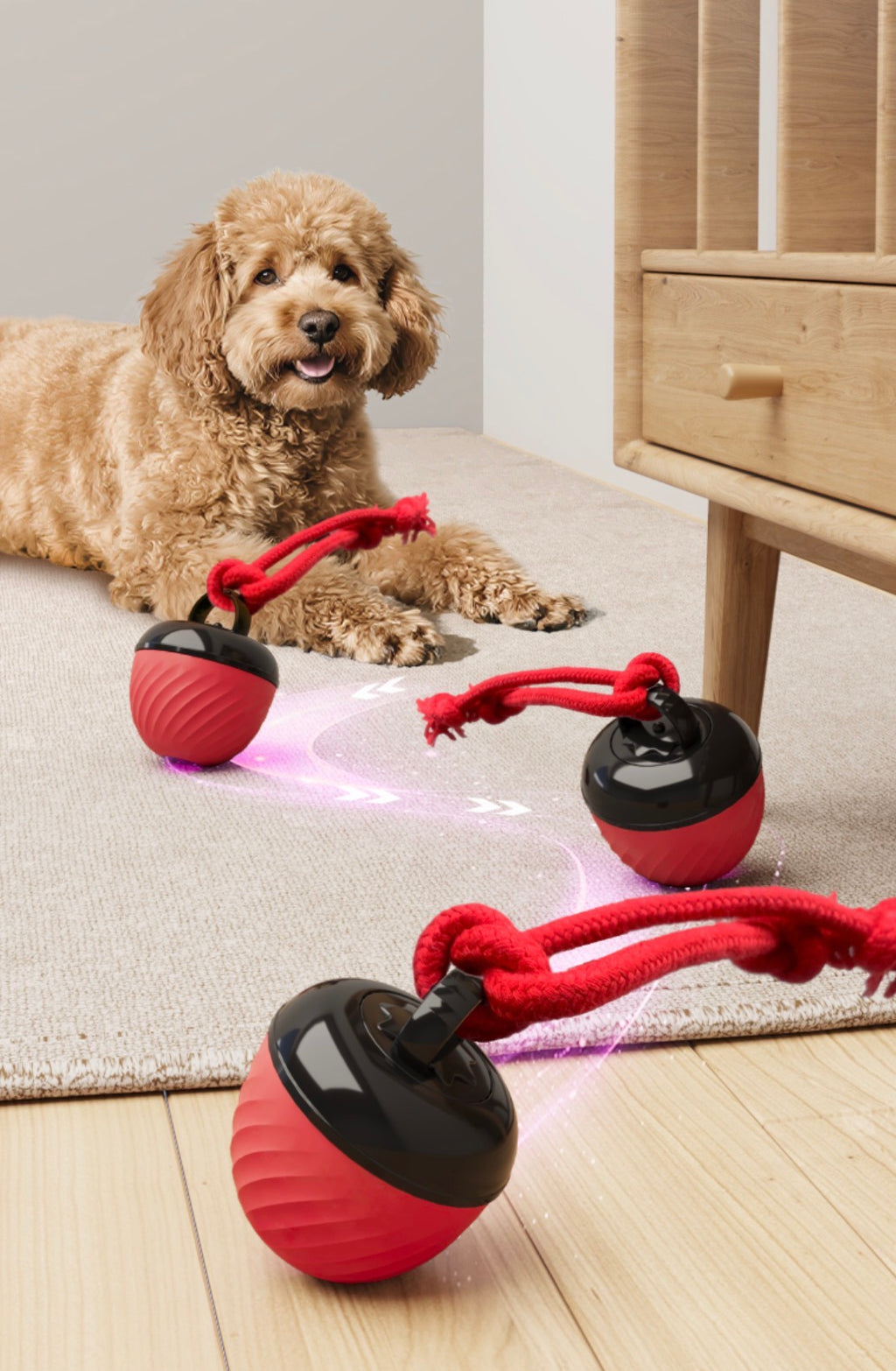 Heavy-Duty Interactive Pet Ball